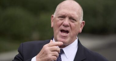 White House: Trump 'stands by' Homan amid allegations of bribery