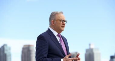 White House snub deals blow to hopes of Trump-Albo meeting