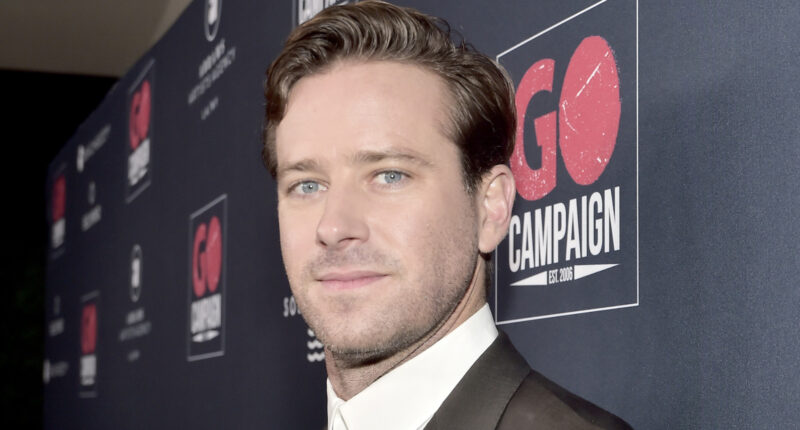 Why Hollywood Stopped Casting Armie Hammer