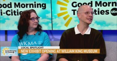William King debuts new exhibit, celebrates anniversary of Art Lab this weekend