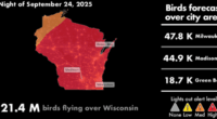 Wisconsin residents urged to turn off outdoor lights to protect migrating birds