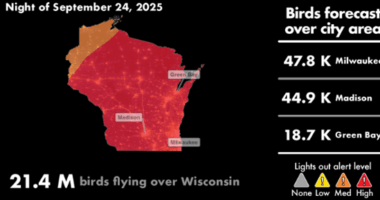 Wisconsin residents urged to turn off outdoor lights to protect migrating birds