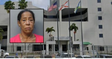 Woman allegedly asked cop about bond before smacking victim