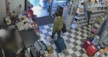 CCTV captured the woman entering and exiting a store within a matter of minutes after allegedly stealing a knife.