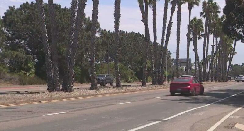 Woman's body found 12 hours after hit-and-run crash in San Diego