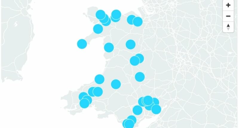 Would YOU try a Bangor Beaujolais? Climate change has created the perfect conditions to grow wine grapes in North Wales