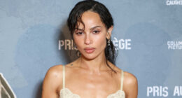 X Best Zoë Kravitz Movies & TV Shows, Ranked