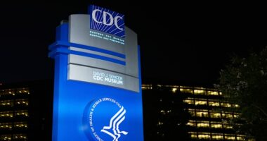 ‘Nightmare bacteria’ cases are increasing in the US