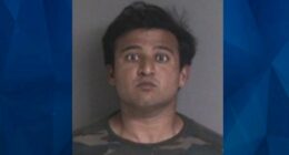 ‘They hurt children’: Accused Killer Slashes Sex Offender’s Throat After Posing as Salesman