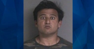 ‘They hurt children’: Accused Killer Slashes Sex Offender’s Throat After Posing as Salesman