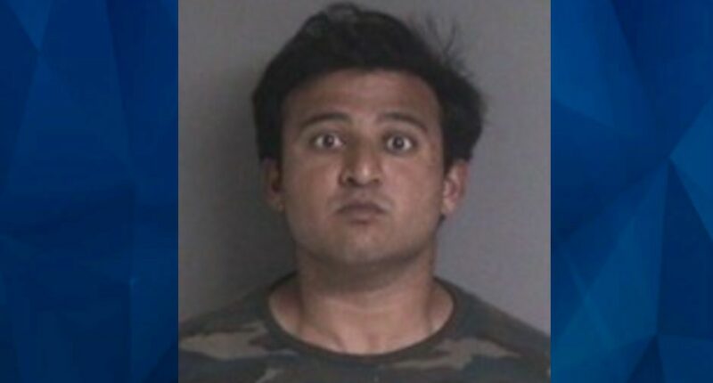 ‘They hurt children’: Accused Killer Slashes Sex Offender’s Throat After Posing as Salesman