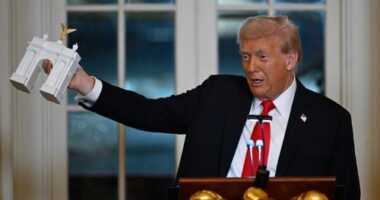 President Donald Trump addresses a dinner for donors who have contributed to build the new ballroom at the White House, Wednesday, Oct. 15, 2025, in Washington. (AP Photo/John McDonnell)