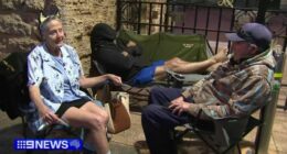'Are you at work?': Bluey fans wait up to 18 hours for a coin