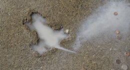 'Chicago Rat Hole' is not imprint of rat, study suggests