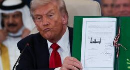 'Enforcer' Trump secured peace deal because of one key detail: Sharma