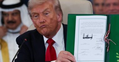 'Enforcer' Trump secured peace deal because of one key detail: Sharma