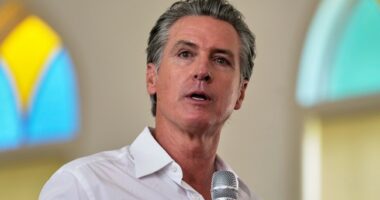 'Irony Is Dead': Newsom Makes Desperate Move After DOJ Announcement About Prop 50 Election Observers