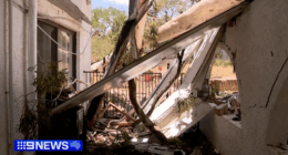 'It's just horrific': Huge gum tree crashes through home in wild storm