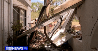 'It's just horrific': Huge gum tree crashes through home in wild storm