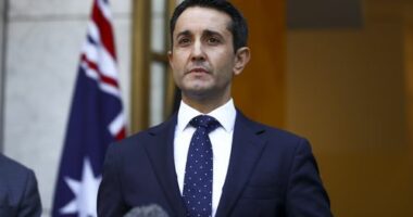 'Poor choice of words': Queensland Premier walks back stabbing remark