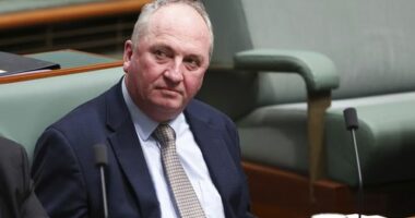 'Relationship irreparably broke down': Barnaby Joyce to leave the Nationals