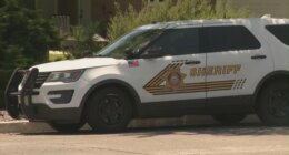 12 arrested in connection with yearslong California-wide cargo theft ring: deputies
