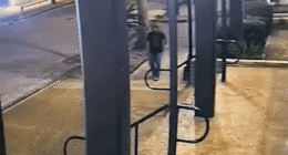 gif of surveillance footage where man is walking through street