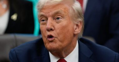 Trump declares drug cartels operating in Caribbean unlawful combatants