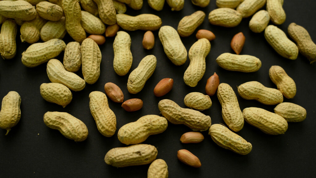 Advice to feed babies peanuts early and often helped 60,000 kids avoid allergies, study finds
