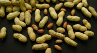 Advice to feed babies peanuts early and often helped 60,000 kids avoid allergies, study finds