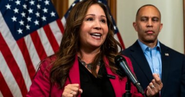 Arizona sues US House over delay in Grijalva swearing-in