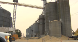 1.8 million pounds of soybeans spilled after Martinton grain bin collapse
