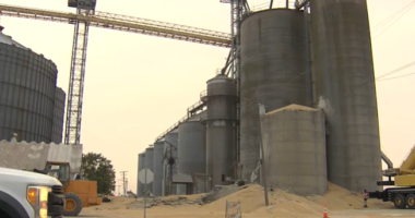 1.8 million pounds of soybeans spilled after Martinton grain bin collapse