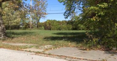 2 children charged in alleged sexual assault of 5-year-old in Cleveland