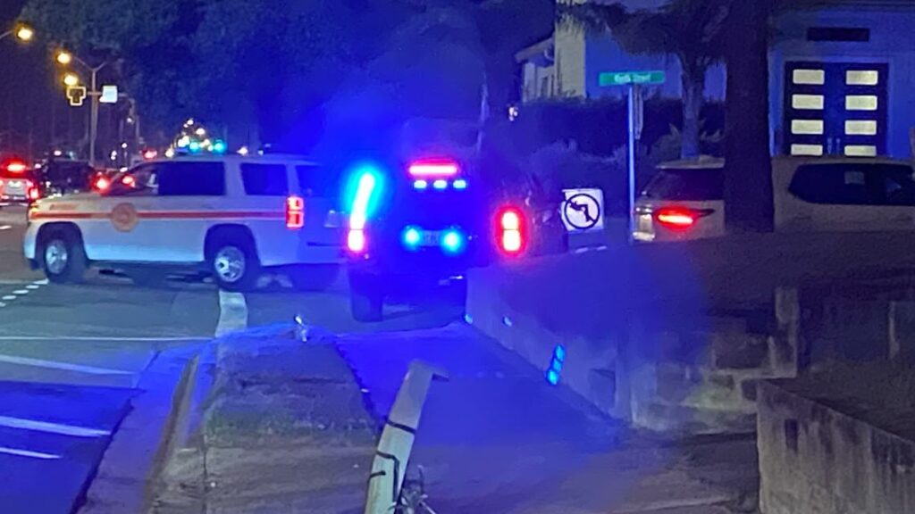 2 people, dog found dead inside Neptune Beach home: police