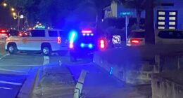2 people, dog found dead inside Neptune Beach home: police
