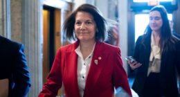 3 members of Democratic caucus buck Schumer on government funding vote