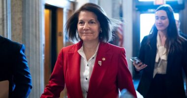 3 members of Democratic caucus buck Schumer on government funding vote