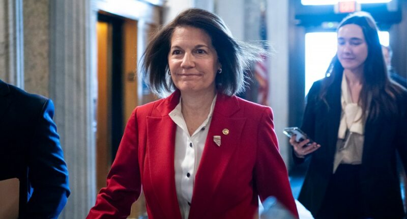 3 members of Democratic caucus buck Schumer on government funding vote