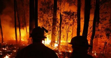 CFA crews monitor bushfires and begin back burns between the towns of Orbost and Lakes Entrance in east Gipplsland  on January 02, 2020 in Australia.
