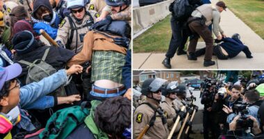 4 protestors arrested outside Chicago DHS facility in more anti-ICE chaos: report