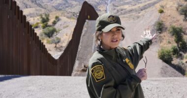 $4.5B in border wall contracts awarded: DHS, CBP