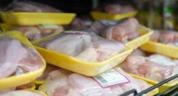 4.9 million pounds of frozen, boneless chicken have been recalled