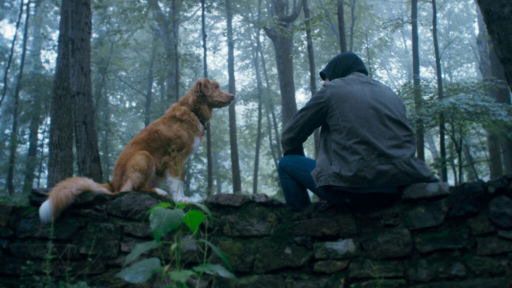 5 Best Horror Movies With Barely Any Dialogue