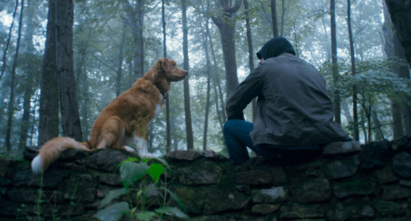 5 Best Horror Movies With Barely Any Dialogue
