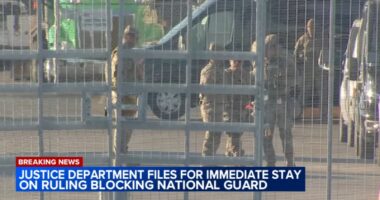 7th Circuit Court of Appeals judges deny Trump administration appeal of National Guard ruling in Illinois