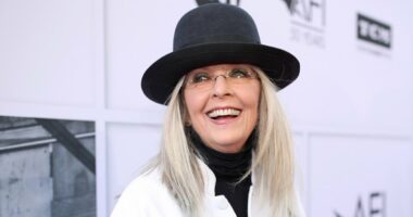 911 Audio Reveals 'Person Down' at Diane Keaton's Home Before Her Death