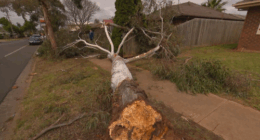 It is Likely that a tornado impacted parts of western Melbourne