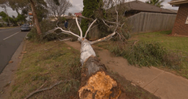 It is Likely that a tornado impacted parts of western Melbourne