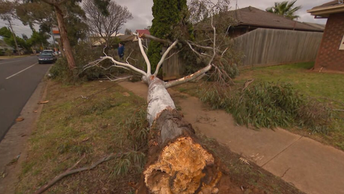 It is Likely that a tornado impacted parts of western Melbourne